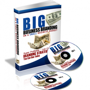 Big Business Branding On A Small Business Budget