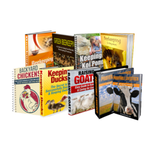Keeping Bees And Raising Livestock Product Pack
